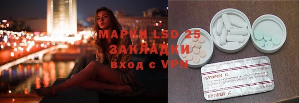 крисы Алзамай