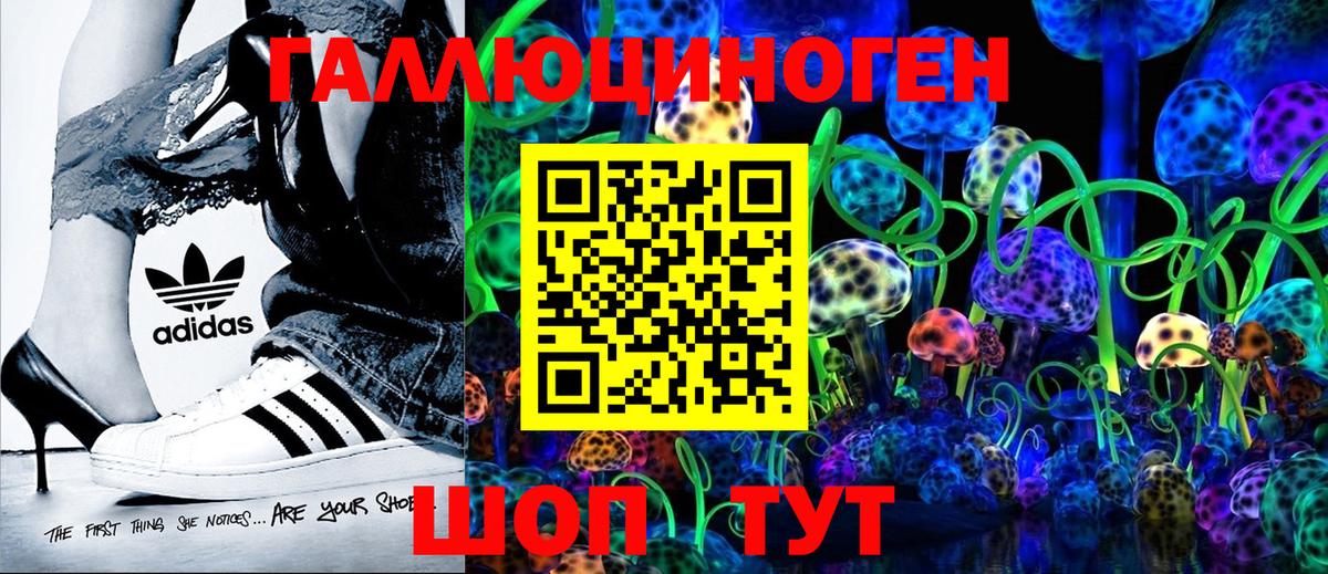 Волхов  наркота  Вход с VPN  Псилоцибиновые грибы Psilocybine cubensis 