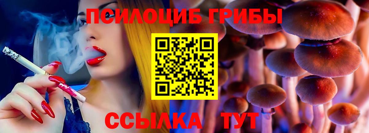 Галлюциногенные грибы Magic Shrooms Волхов