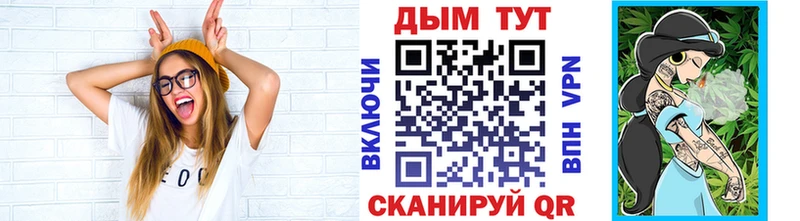 Бошки Шишки планчик  Волхов 