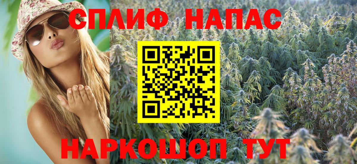 Марихуана конопля  Конопля MAZAR  Бошки марихуана планчик  Волхов  Вход с VPN  Каннабис гибрид 